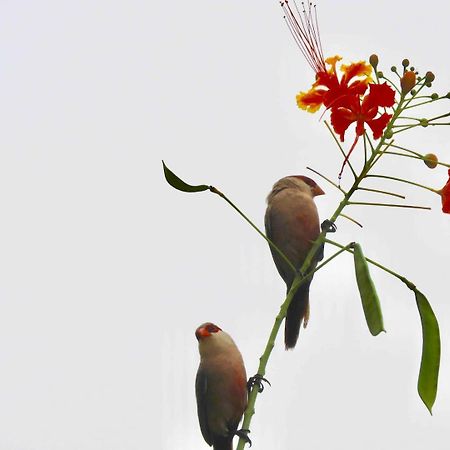 Casarao Da Fonte Apartment เซาลูอิส ภายนอก รูปภาพ